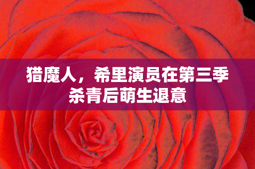 猎魔人，希里演员在第三季杀青后萌生退意
