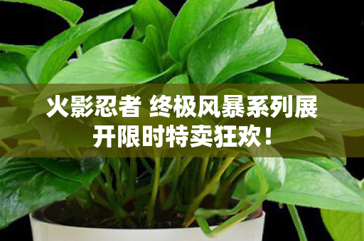 火影忍者 终极风暴系列展开限时特卖狂欢！