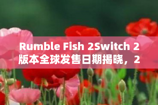 Rumble Fish 2Switch 2版本全球发售日期揭晓，2026年1月22日