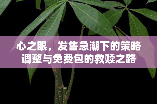 心之眼，发售急潮下的策略调整与免费包的救赎之路