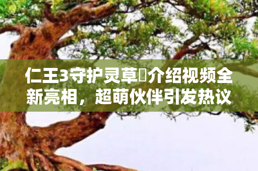 仁王3守护灵草薙介绍视频全新亮相，超萌伙伴引发热议！