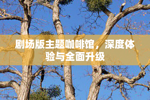 剧场版主题咖啡馆，深度体验与全面升级