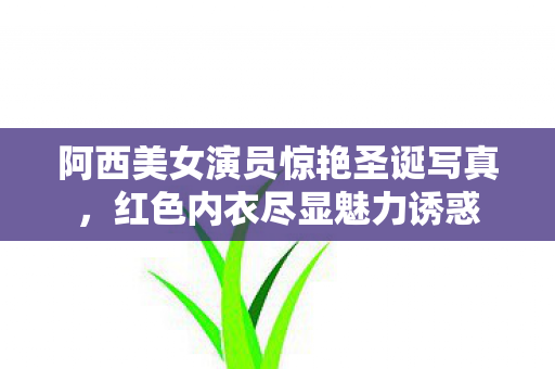 阿西美女演员惊艳圣诞写真，红色内衣尽显魅力诱惑