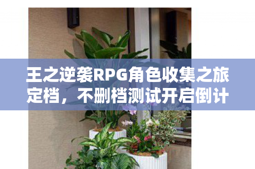 王之逆袭RPG角色收集之旅定档，不删档测试开启倒计时