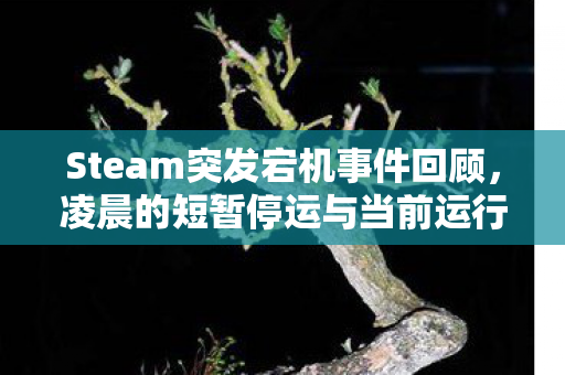 Steam突发宕机事件回顾，凌晨的短暂停运与当前运行的不稳定性