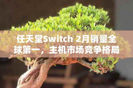 任天堂Switch 2月销量全球第一，主机市场竞争格局明朗
