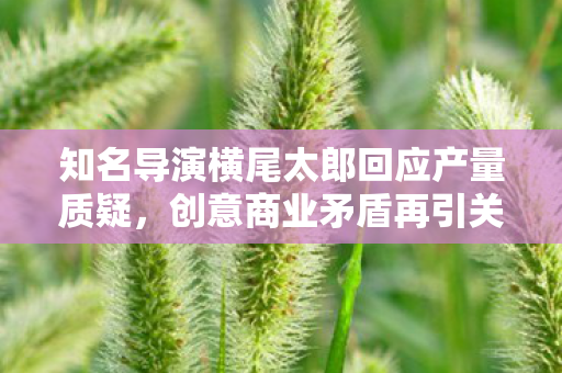 知名导演横尾太郎回应产量质疑，创意商业矛盾再引关注