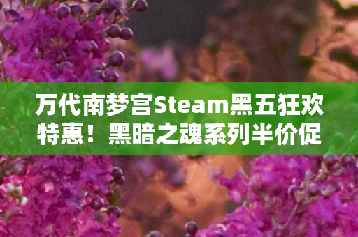 万代南梦宫Steam黑五狂欢特惠！黑暗之魂系列半价促销盛启