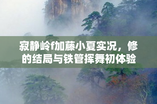 寂静岭f加藤小夏实况，修的结局与铁管挥舞初体验