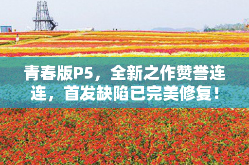 青春版P5，全新之作赞誉连连，首发缺陷已完美修复！
