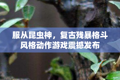 服从昆虫神，复古残暴格斗风格动作游戏震撼发布