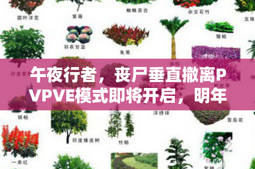 午夜行者，丧尸垂直撤离PVPVE模式即将开启，明年初体验版抢先体验