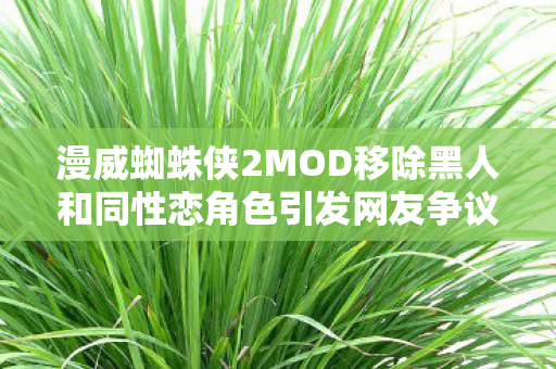 漫威蜘蛛侠2MOD移除黑人和同性恋角色引发网友争议
