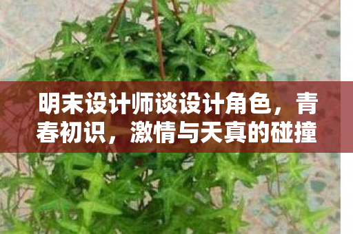 明末设计师谈设计角色，青春初识，激情与天真的碰撞