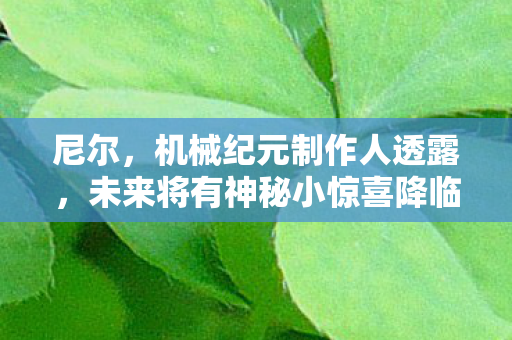 尼尔，机械纪元制作人透露，未来将有神秘小惊喜降临，预计于XXXX年揭晓！