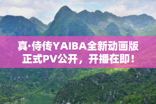 真·侍传YAIBA全新动画版正式PV公开，开播在即！