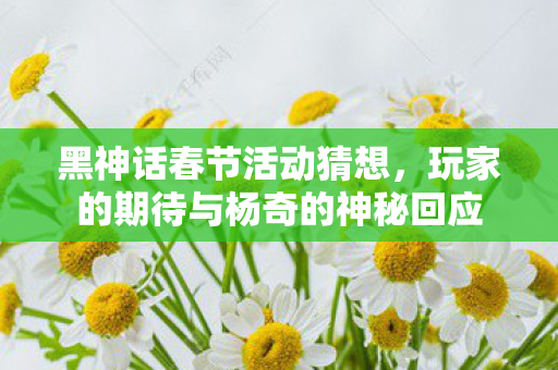 黑神话春节活动猜想，玩家的期待与杨奇的神秘回应