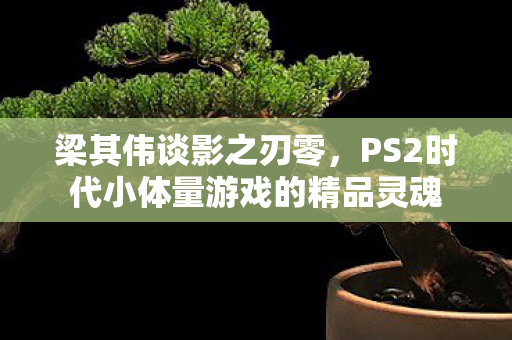 梁其伟谈影之刃零，PS2时代小体量游戏的精品灵魂
