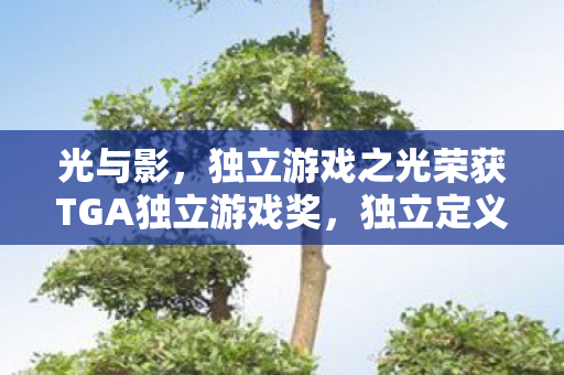 光与影，独立游戏之光荣获TGA独立游戏奖，独立定义再成焦点