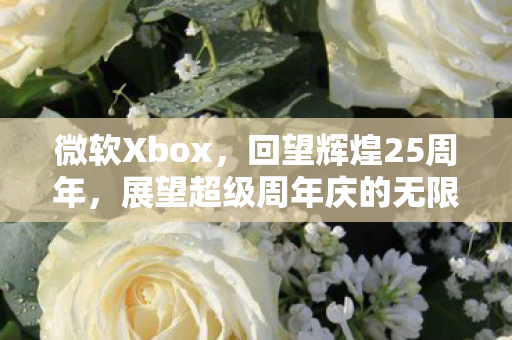 微软Xbox，回望辉煌25周年，展望超级周年庆的无限未来