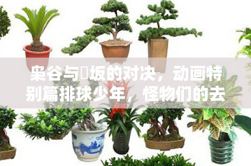 枭谷与狢坂的对决，动画特别篇排球少年，怪物们的去向深度解析