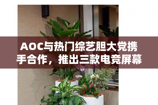 AOC与热门综艺胆大党携手合作，推出三款电竞屏幕及联名周边产品