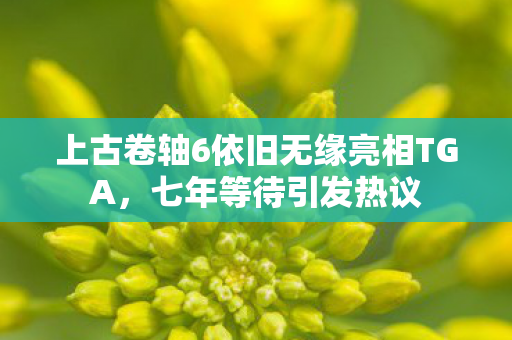 上古卷轴6依旧无缘亮相TGA，七年等待引发热议