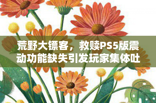 荒野大镖客，救赎PS5版震动功能缺失引发玩家集体吐槽