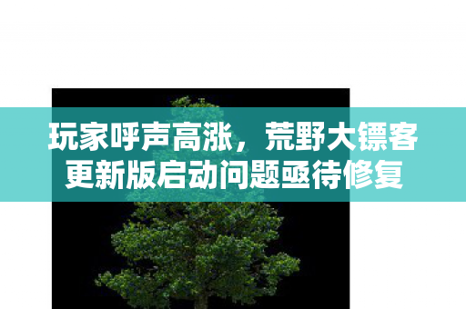 玩家呼声高涨，荒野大镖客更新版启动问题亟待修复