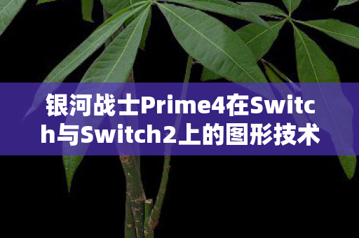 银河战士Prime4在Switch与Switch2上的图形技术对比