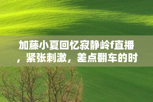 加藤小夏回忆寂静岭f直播，紧张刺激，差点翻车的时刻