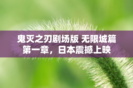 鬼灭之刃剧场版 无限城篇第一章，日本震撼上映