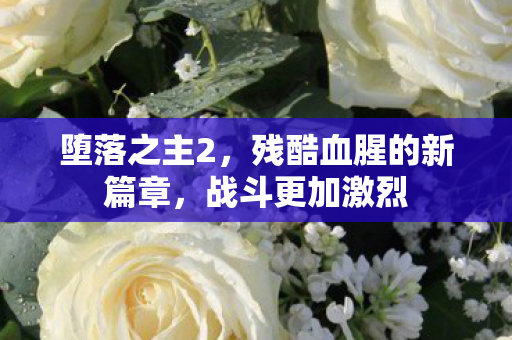 堕落之主2，残酷血腥的新篇章，战斗更加激烈