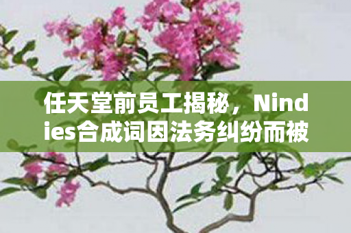 任天堂前员工揭秘，Nindies合成词因法务纠纷而被迫放弃使用