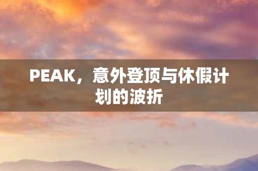 PEAK，意外登顶与休假计划的波折