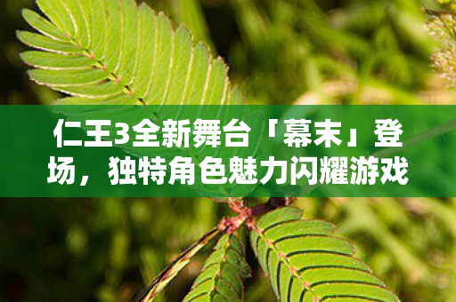 仁王3全新舞台「幕末」登场，独特角色魅力闪耀游戏世界