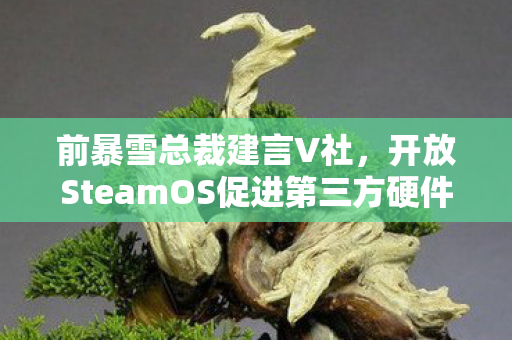 前暴雪总裁建言V社，开放SteamOS促进第三方硬件合作与发展