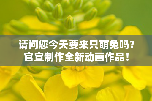请问您今天要来只萌兔吗？官宣制作全新动画作品！
