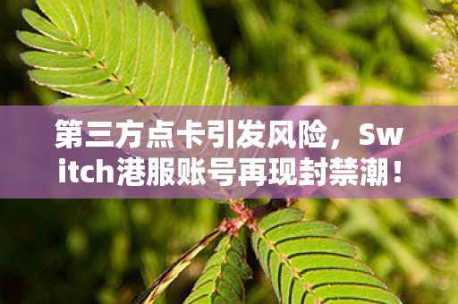 第三方点卡引发风险，Switch港服账号再现封禁潮！