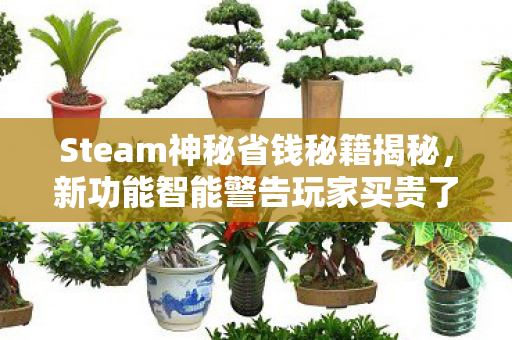 Steam神秘省钱秘籍揭秘，新功能智能警告玩家买贵了！