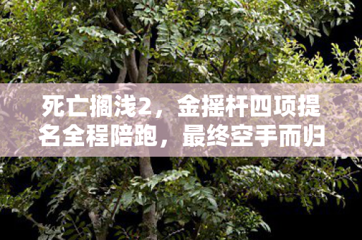 死亡搁浅2，金摇杆四项提名全程陪跑，最终空手而归的遗憾之旅