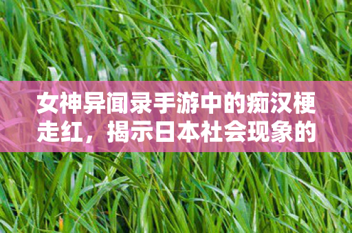 女神异闻录手游中的痴汉梗走红，揭示日本社会现象的微观视角