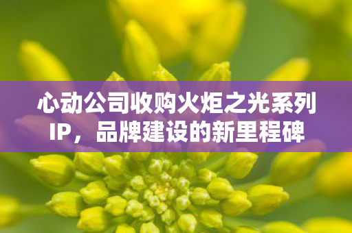 心动公司收购火炬之光系列IP，品牌建设的新里程碑