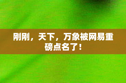 刚刚，天下，万象被网易重磅点名了！