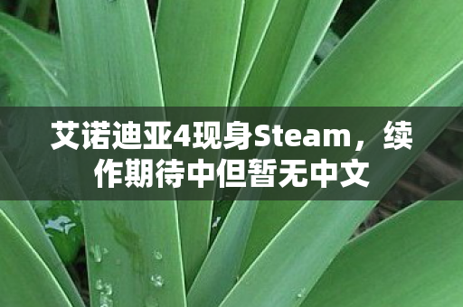 艾诺迪亚4现身Steam，续作期待中但暂无中文