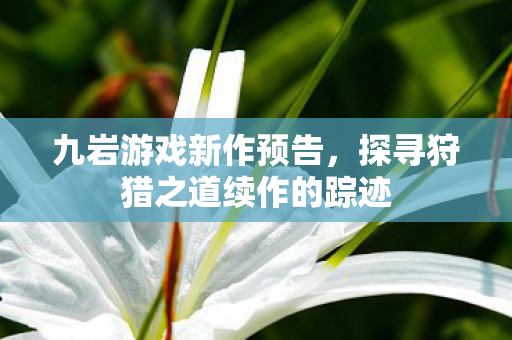 九岩游戏新作预告，探寻狩猎之道续作的踪迹