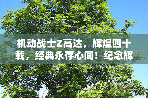 机动战士Z高达，辉煌四十载，经典永存心间！纪念辉煌首播四十周年