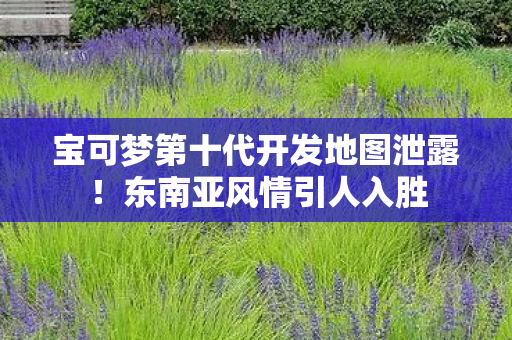 宝可梦第十代开发地图泄露！东南亚风情引人入胜