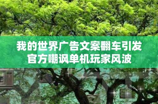 我的世界广告文案翻车引发官方嘲讽单机玩家风波