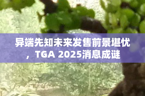 异端先知未来发售前景堪忧，TGA 2025消息成谜